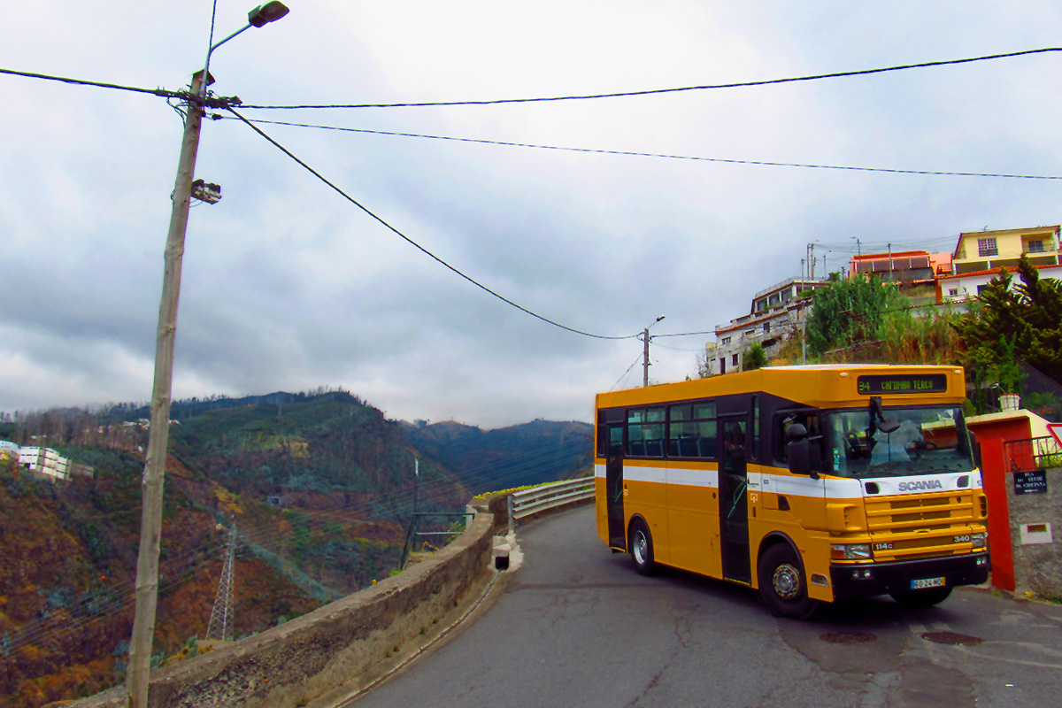 Scania 114C 340 4x4 / Horários do Funchal #103
