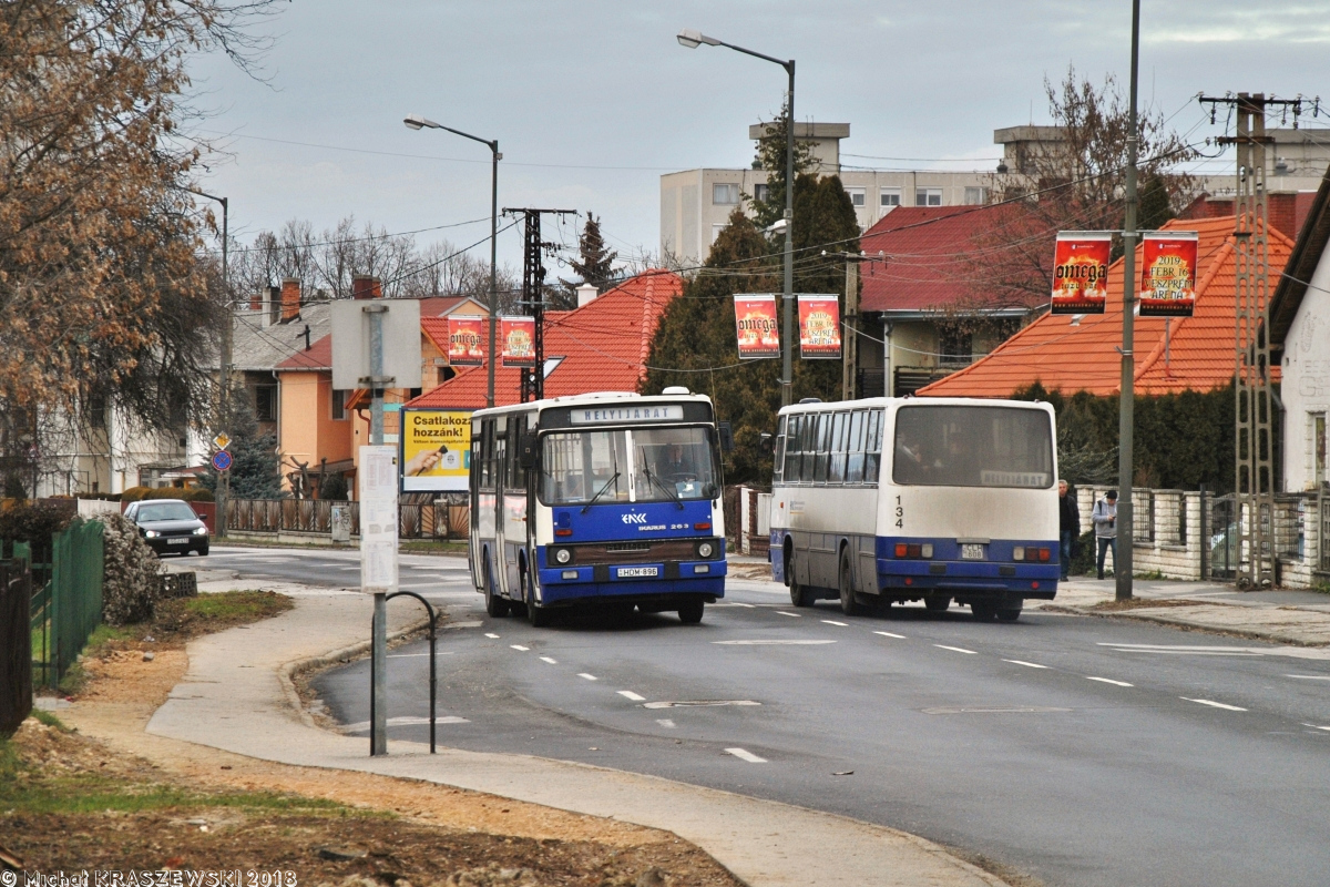 Ikarus 263.10 #145