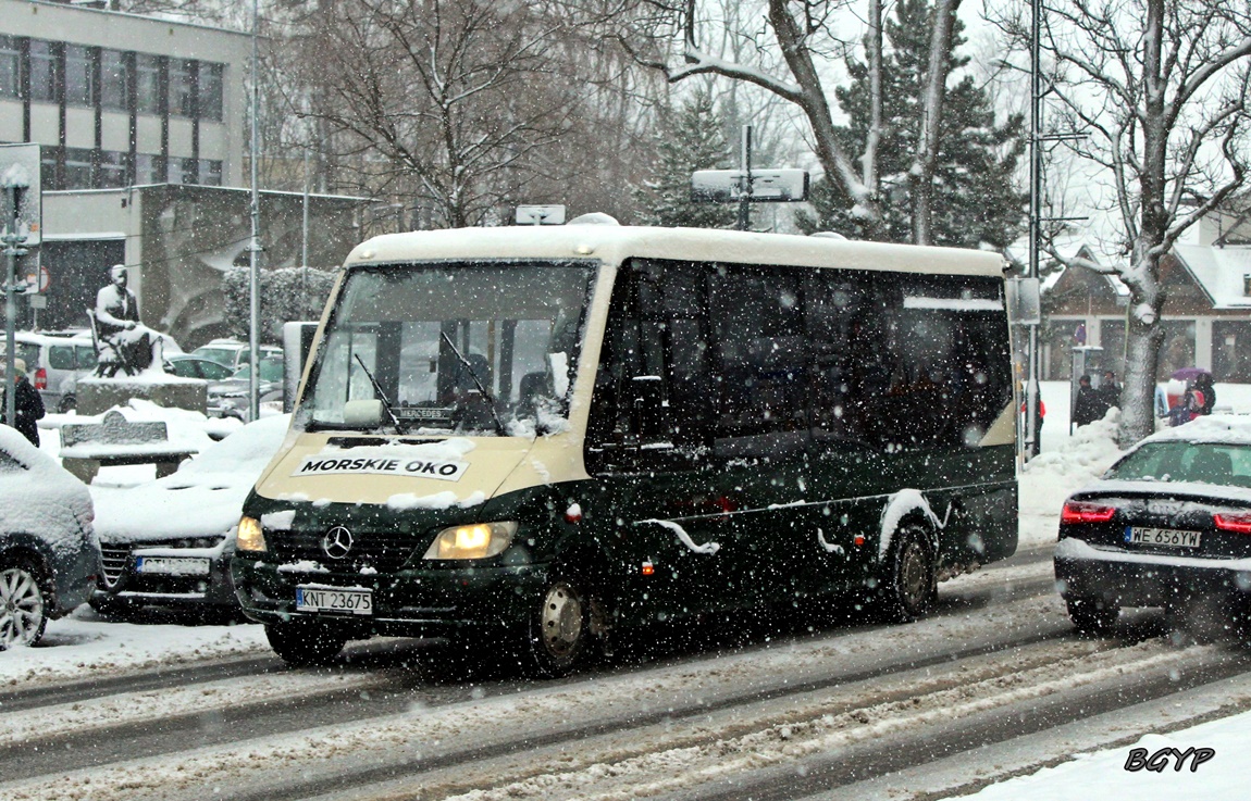 Mercedes-Benz 616 CDI / Koch Sprinter Kombi #KNT 23675