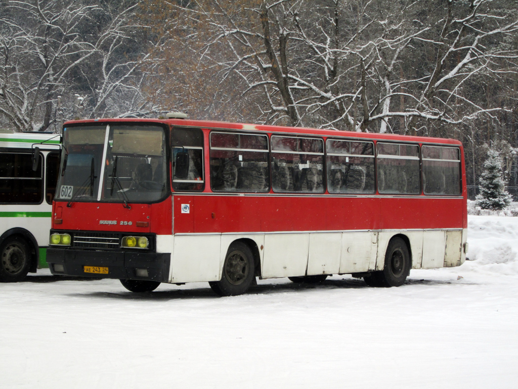 Ikarus 256.74 #АЕ 243 24