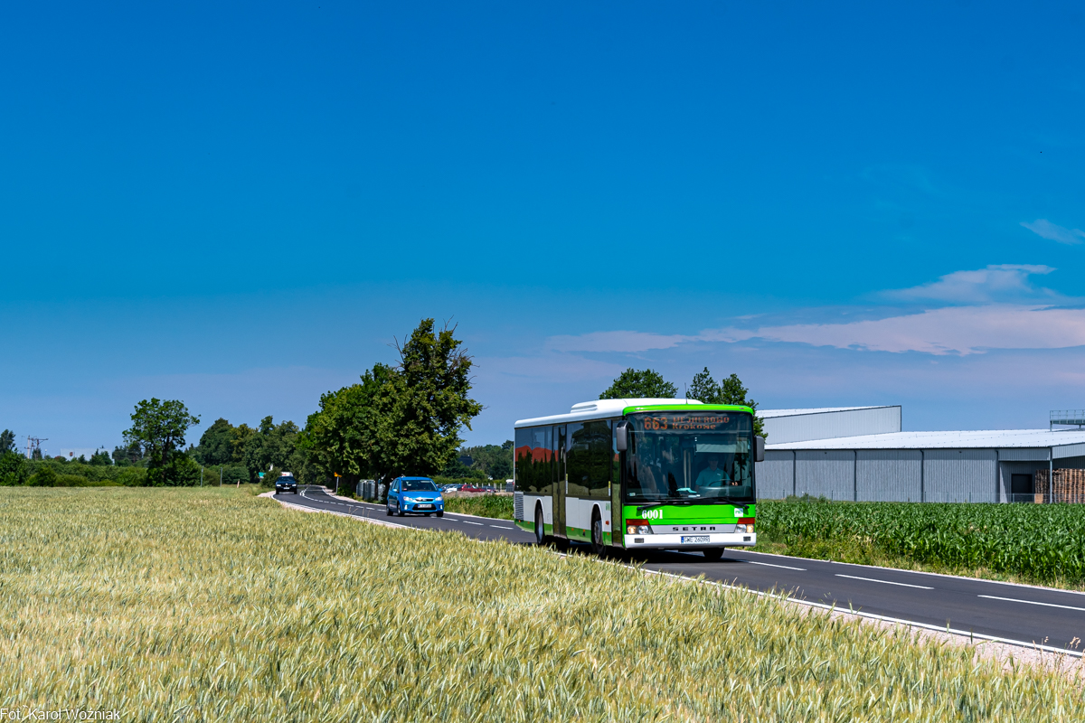 Setra S315 NF (K) #6001