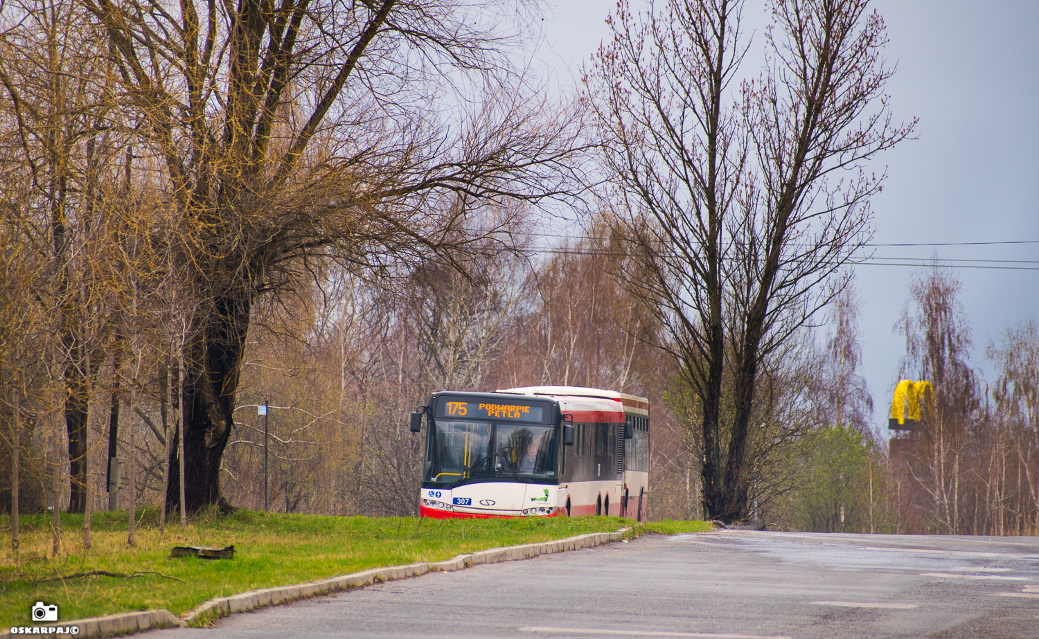 Solaris Urbino 15 #307