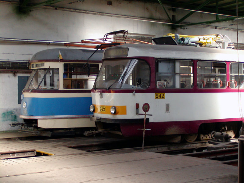 Tatra T3SUCS #242
