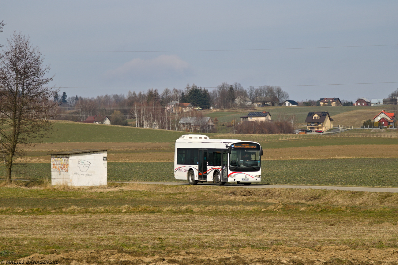 Irisbus 203E.7.96 Europolis #191