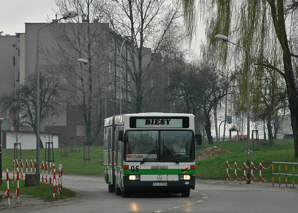 Mercedes O405G #05