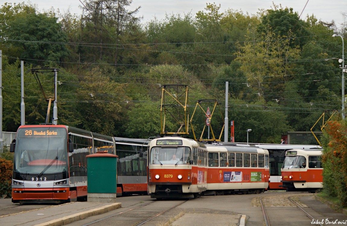 Tatra T3R.P #8379