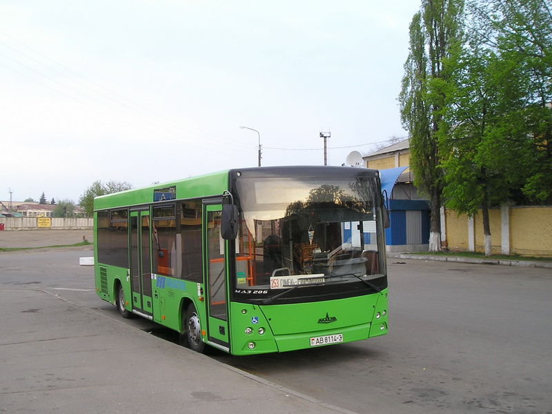 МАЗ 206 #AB 8114-3