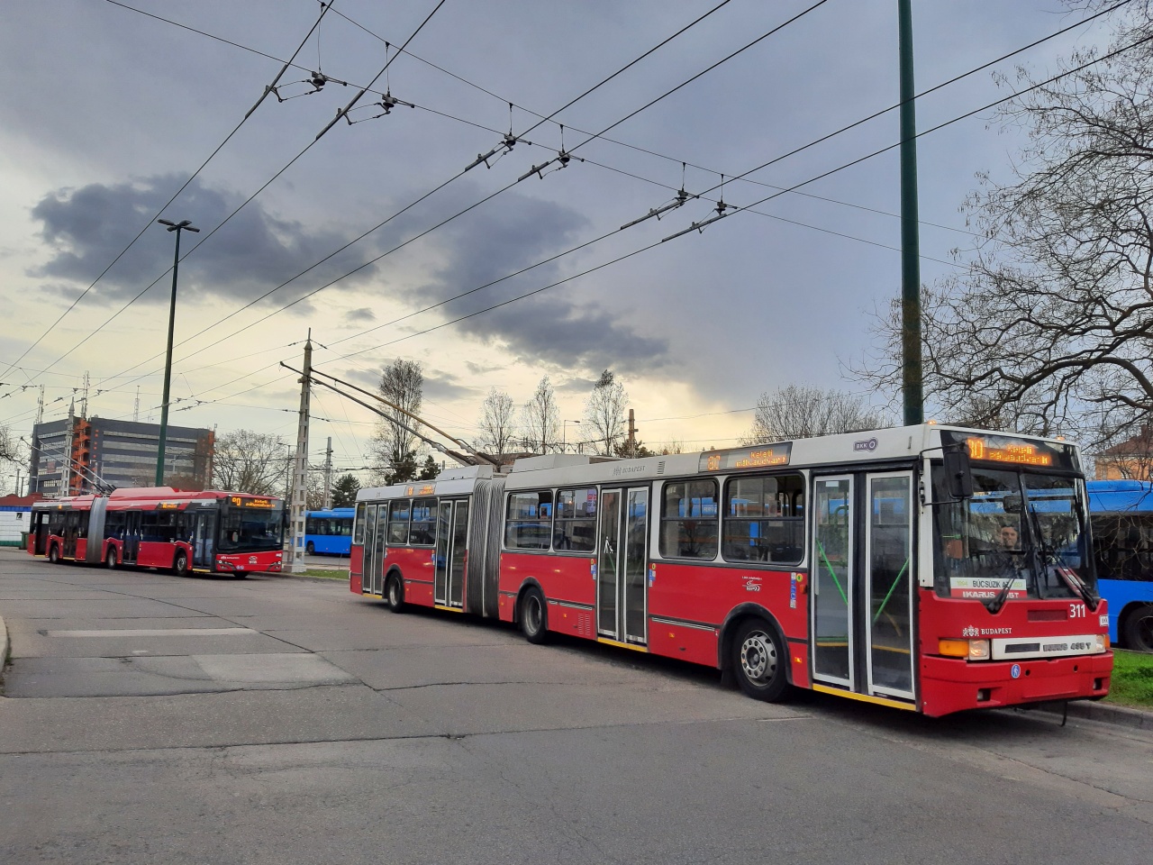 Ikarus 435.81 #311