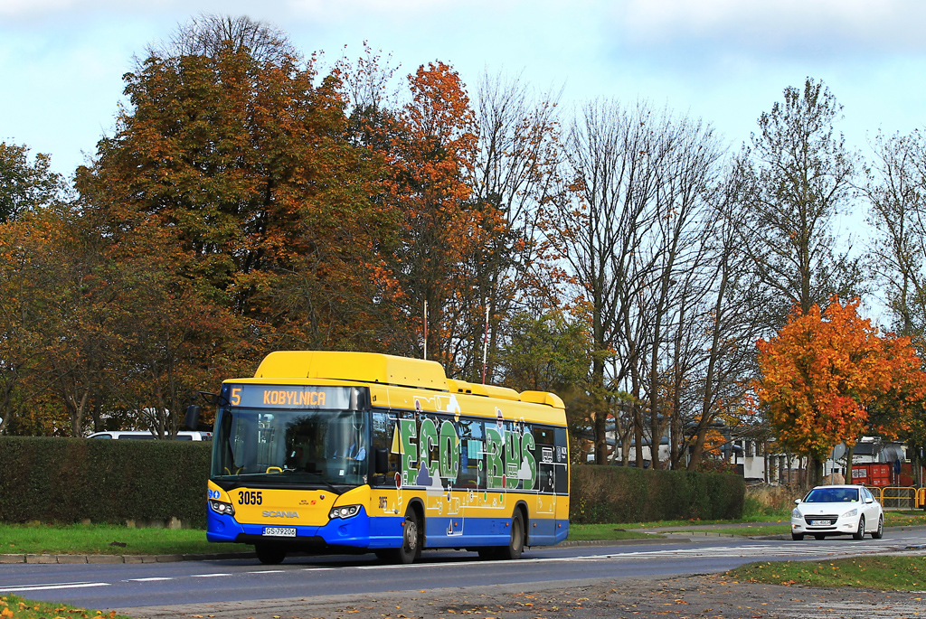 Scania CN280UB 4x2 EB CNG #3055